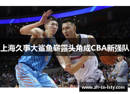 上海久事大鲨鱼崭露头角成CBA新强队