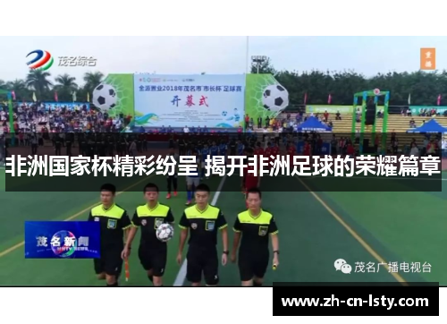 非洲国家杯精彩纷呈 揭开非洲足球的荣耀篇章